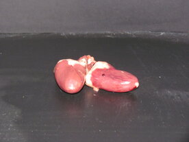 Kippenhartjes €5.75/ kg