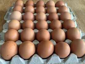 Eieren 30 stuks 